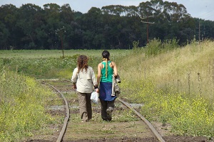 muestreando vegetacion en vias de ferrocarril