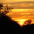 atardecer en bosque chaqueño