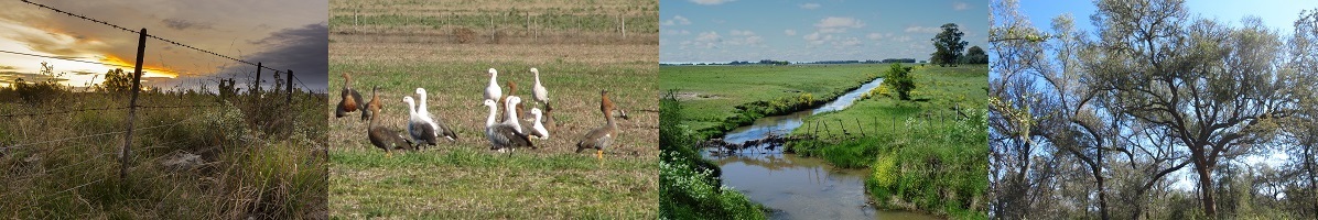 pocesos ecológicos en paisajes rurales