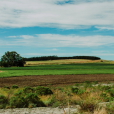 Unidad Demostrativa Agroecológica Balcarce